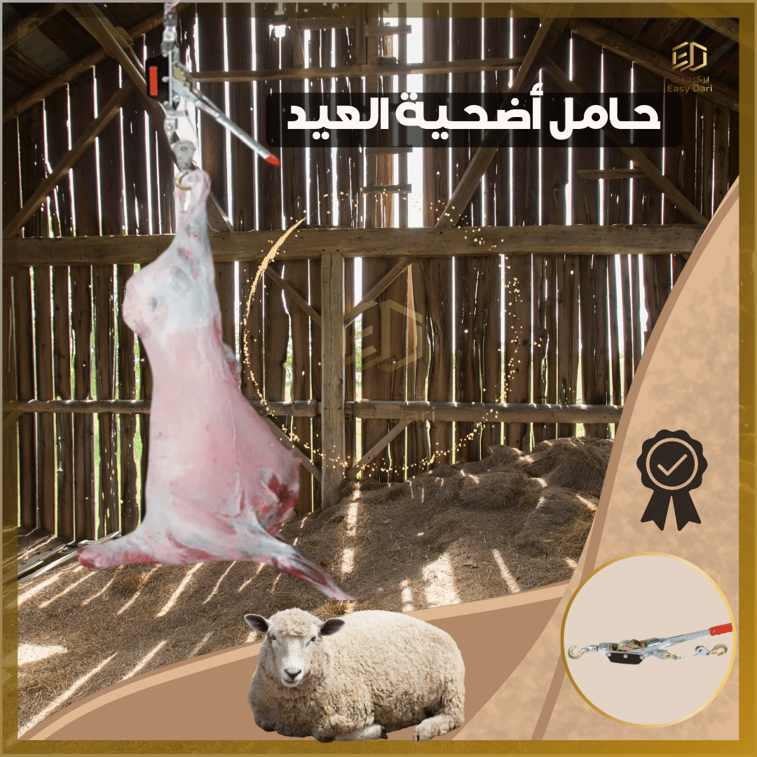 حامل أضحية العيد