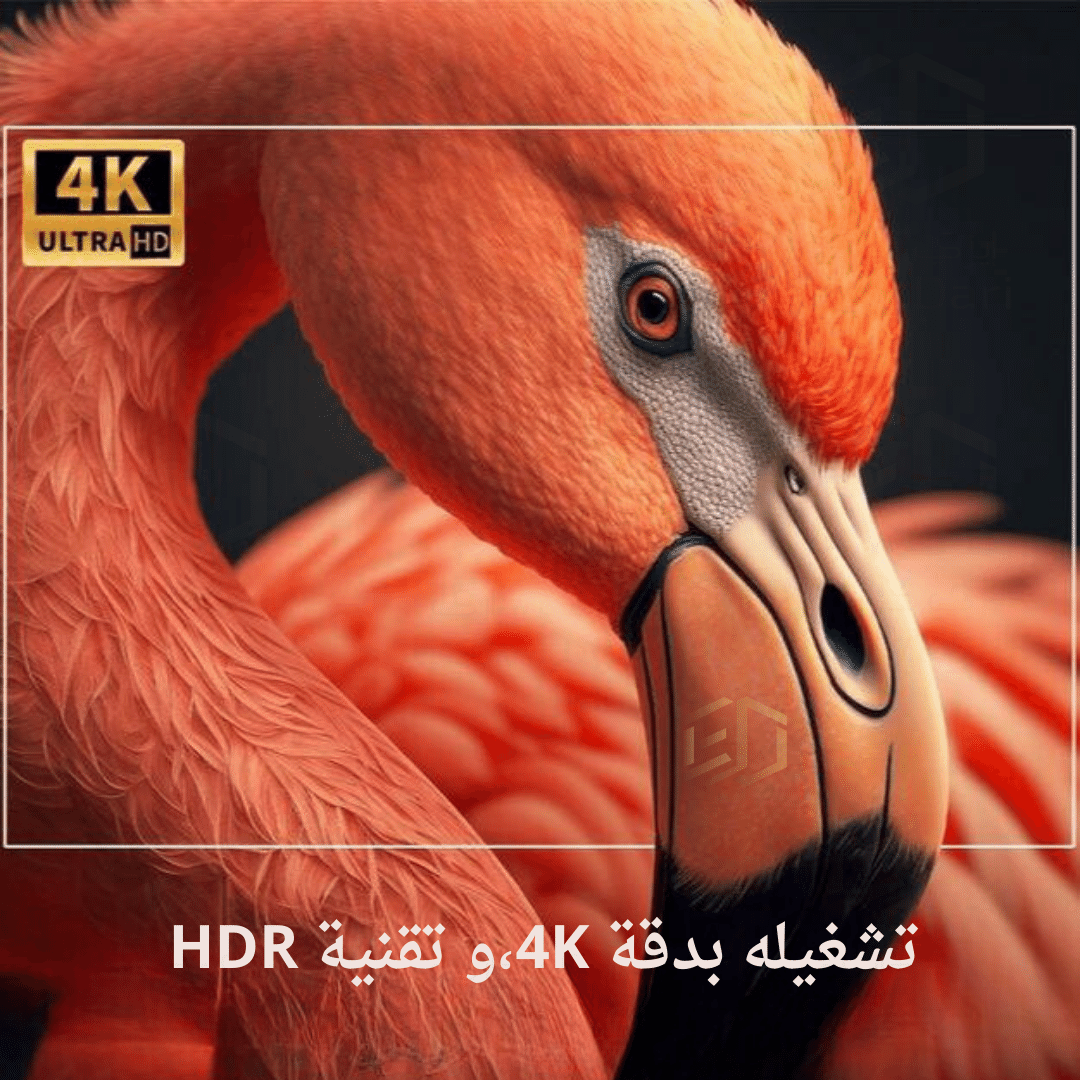 البروجيكتور المحمول 4k